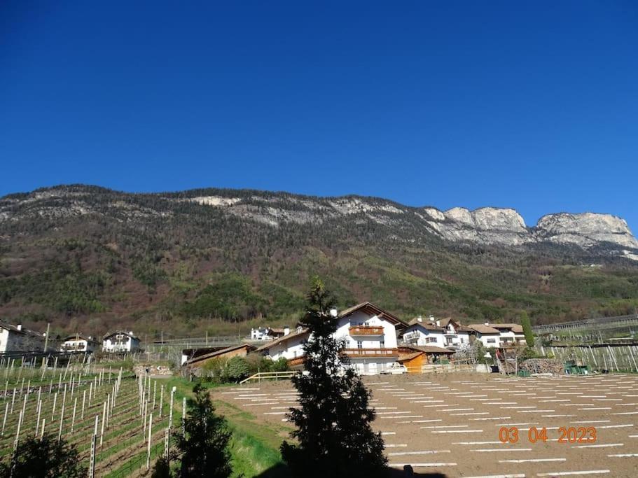 Appartement Panoramaterrace, Wein & Relax à Appiano Sulla Strada Del Vino Extérieur photo
